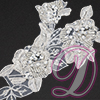 Schiffli on Organza Beaded Motif Pair with Rhinestone Accent